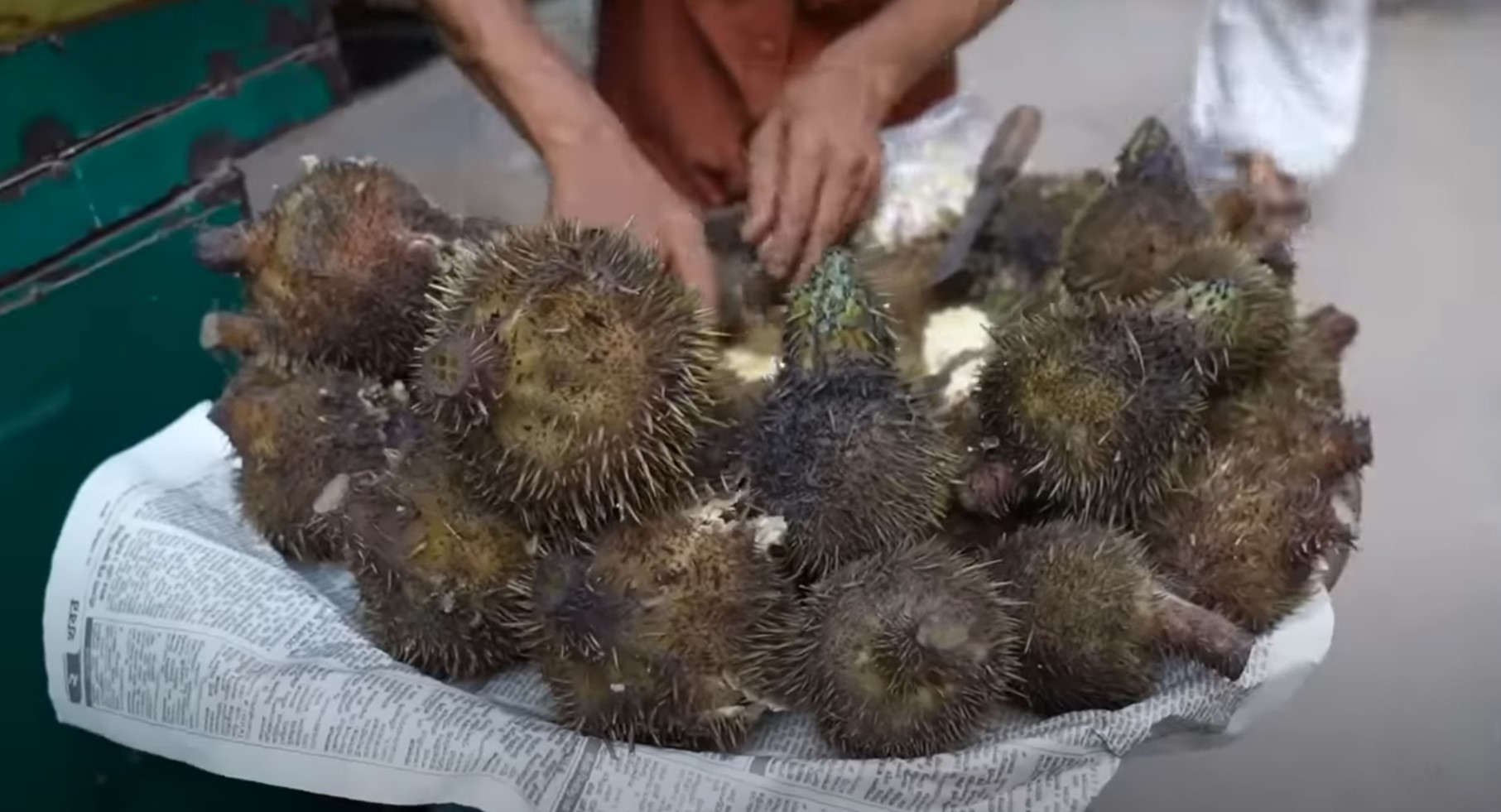 Как собирают лисий орех/ Как это растет смотреть онлайн