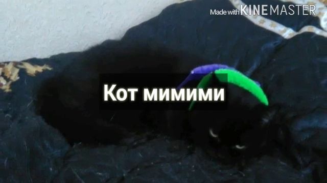 Второй мини фотошоп смотреть онлайн