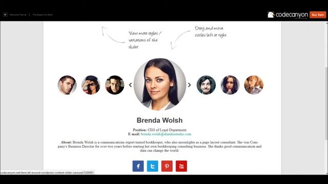 All Around Wordpress Content Slider Carousel.mp4 смотреть онлайн