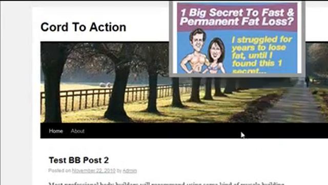 Call To Action WordPress Plugin смотреть онлайн