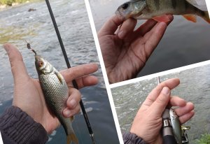 Рыбалка с Ордером. Пробую новый нано спиннинг от KAIDA