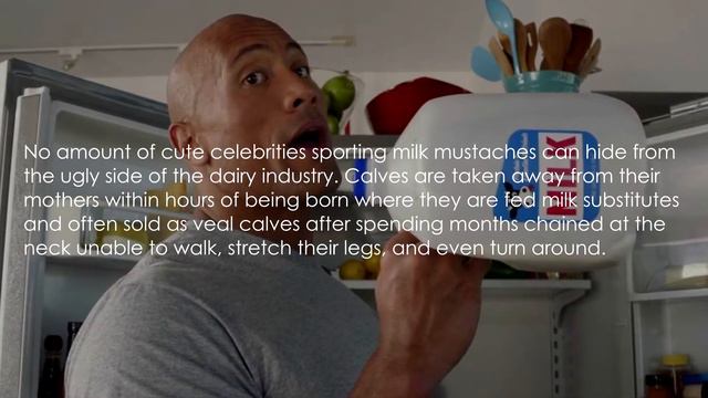 5 Ridiculous Myths About Cow’s Milk смотреть онлайн