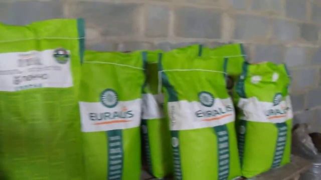 Посевной материал "Бэлла" Евралис 2019 смотреть онлайн