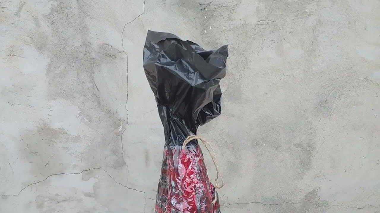 Получила клематисы. Распаковка посылки. Ваше мнение? смотреть онлайн