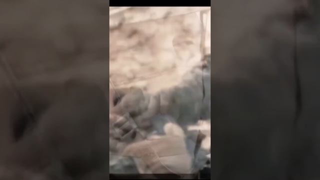 Самый лучший воин.