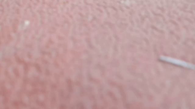 В скворечник на балконе заселилась БЕЛКА / из чего строит гнездо БЕЛКА смотреть онлайн