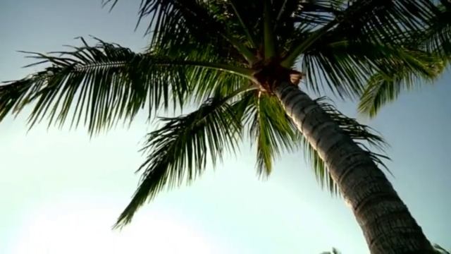 Звук ветра. Шум ветра. Звуки для сна.Music for sleep. смотреть онлайн