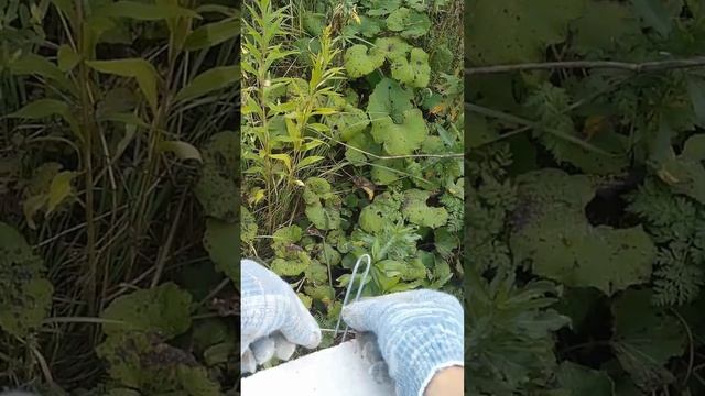 Как натянуть шнур причалку без провисания при кладке кирпича и блоков смотреть онлайн