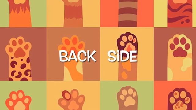 Bachata shine very basic series #25 смотреть онлайн