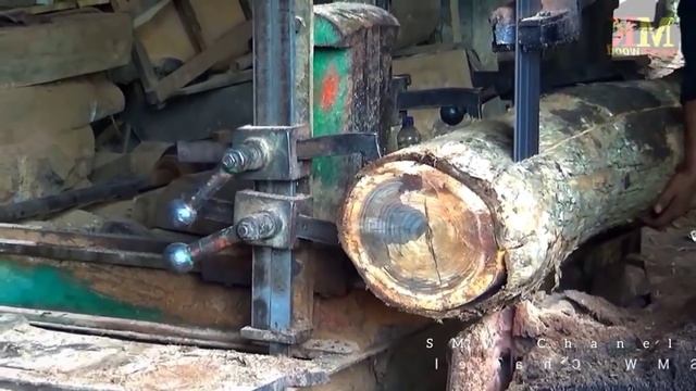 Wujud Kayu Sonokeling 2MILIAR KAYU BIDADARI DI SAWMIL Yang selalu dikejar pengepul luar negeri смотреть онлайн