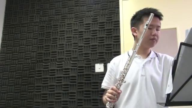 Reinecke Flute Concerto in D - 1st movement (with piano) смотреть онлайн