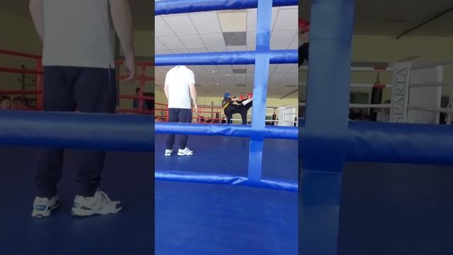 королева Виктория  синий шлем. Сават Данков. Shatalov Team