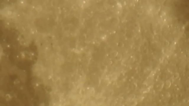 Реально факт - Луна | #луна очень близко смотреть онлайн