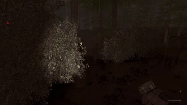 Stalker The Journey. Начало путешествия #1 смотреть онлайн