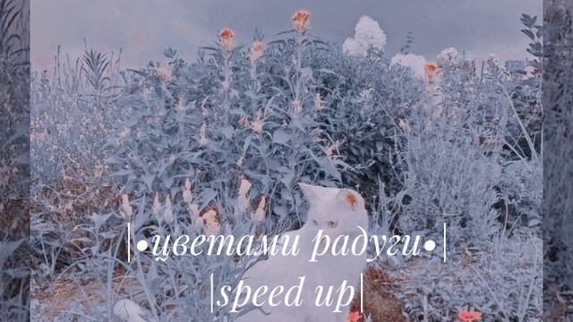 •цветами радуги• |speed up| смотреть онлайн