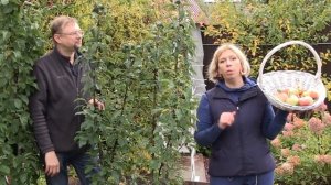 Особенности выращивания колоновидных яблонь.Подкормка органо-минеральным удобрением ОМУ "Осеннее".