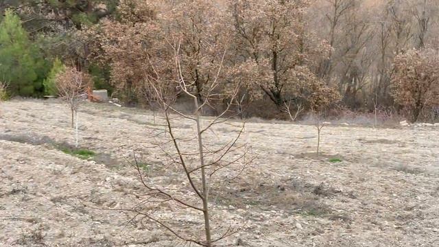 Veranda Yenileme ve Çalışmalar (Mart 2023) смотреть онлайн