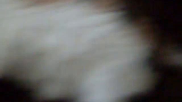 Котик Очень Толстый!!!! смотреть онлайн