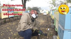 ИТОГИ ОБРАБОТКИ ПЧЕЛ. ЩАВЕЛЕВОЙ КИСЛОТОЙ (методом возгонки)