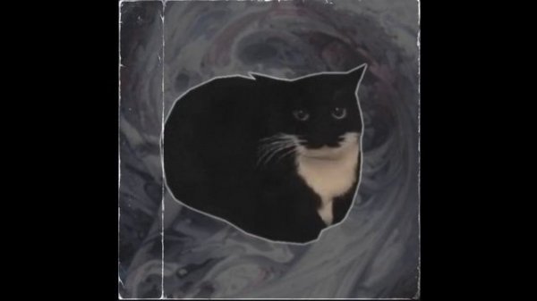 Maxwell the Cat | (phonk version) | 1 час