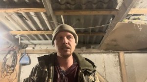 Сколько кур на квадратный метр допустимо?