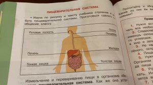 Окружающий мир/3 кл/часть 1/Плешаков/Наше питание/12.12.21