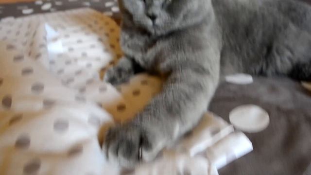 НЕДОРОГОЕ красивенное БЕЛЬЕ, Подушка из шерсти и Шелковое покрывало от ЮнэКТ : ) смотреть онлайн