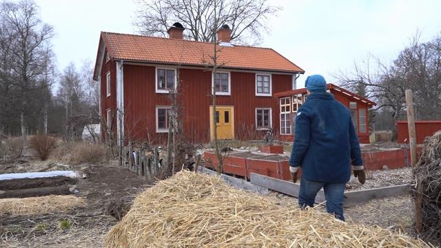 Hot bed, cold frames and Jerusalem artichokes - Sweden March 2021 смотреть онлайн
