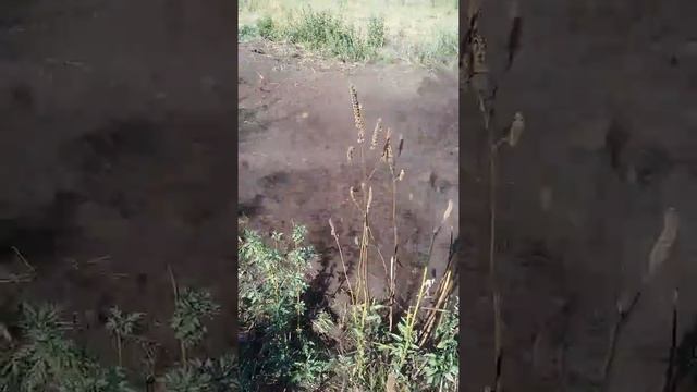 фреза почвообрабатывающая смотреть онлайн