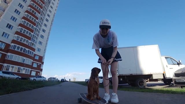 УЧУ СОБАКУ КАТАТЬСЯ НА СКЕЙТЕ | CHIO YAM смотреть онлайн