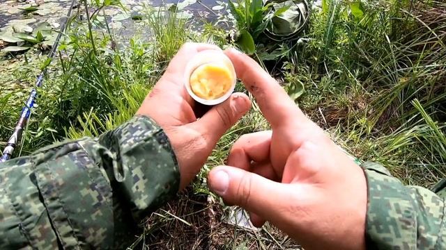 Тест насадок на карася. На что сейчас клюёт карась? Лучшие насадки для рыбалки. Рыбалка на карася. смотреть онлайн