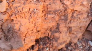 На месте добычи "Красной-приозёрной глины" Много опробования, хруста и описания от 24.07.2022