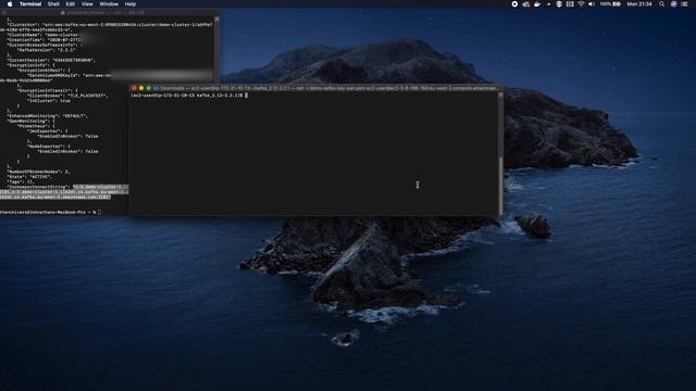 Create a Kafka Cluster Using AWS MSK And Stream Data - Full Coding Demo смотреть онлайн