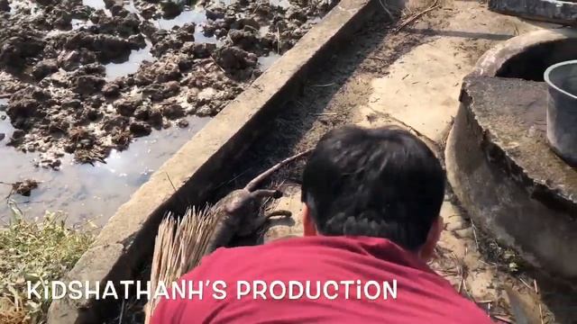 КАК ПРИГОТОВИТЬ СОБАКУ ПО ТРАДИЦИОННОМУ!!! смотреть онлайн