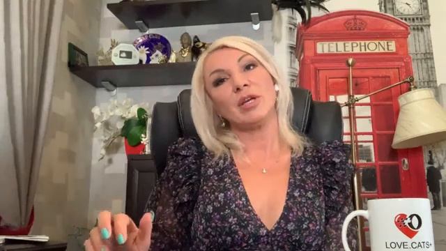 Организация питомника кошек. смотреть онлайн