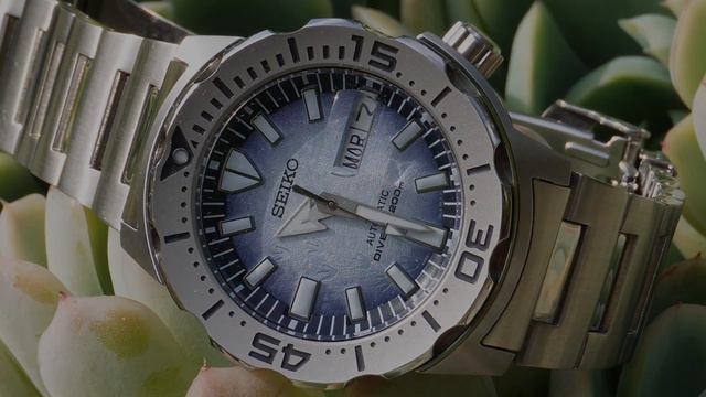 "Te Presento mi Colección de Relojes con los que Inicio el año 2024" смотреть онлайн