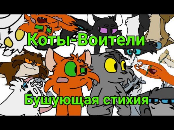 Коты-Воители: Бушующая стихия в двух словах