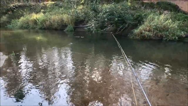 Отдых мечты любого мужчины - грибы / лес / рыбалка! смотреть онлайн