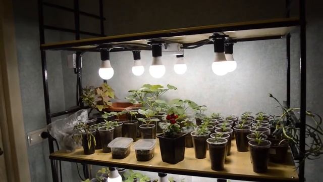 Строительные Параллели