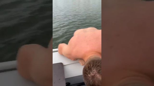 Первый заезд на лодке Альтаир 340 нднд и мотором Hidea 9.8. Попали в шторм! смотреть онлайн