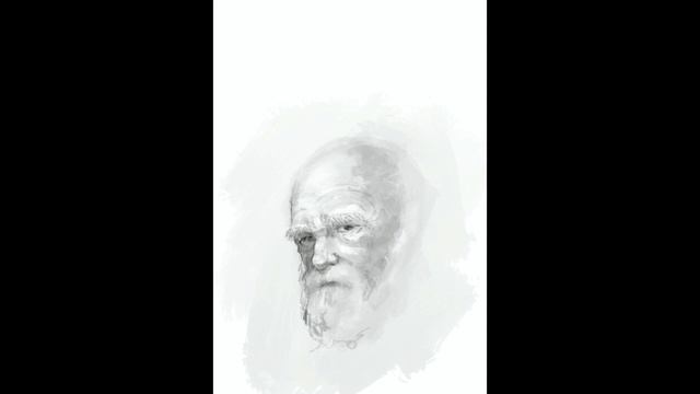 Character Sketch 2021-1 смотреть онлайн