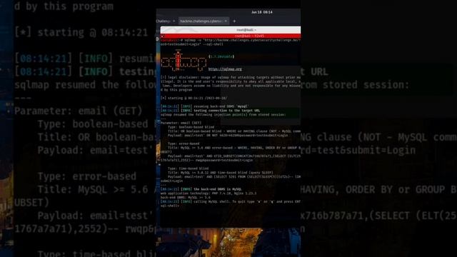 Database Breached: The Power of SQL Injection смотреть онлайн