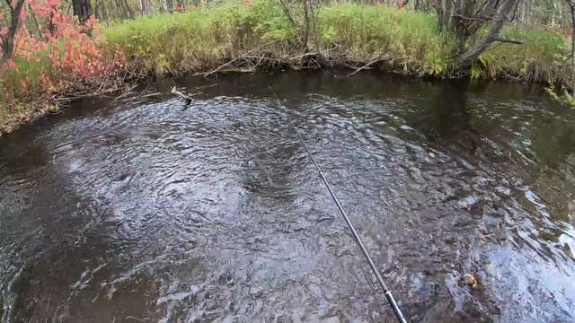Рыбалка в Хабаровском крае. Река Пото. Хариус, ленок. 23.09.2021 г. смотреть онлайн