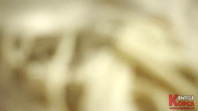 Проект "Великий Гетсби" фотосессия в стиле ретро смотреть онлайн