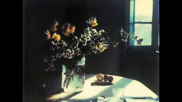 Форманта ЭМС-01 / FORMANTA EMS-01