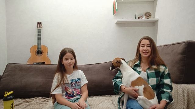 Интервью с хозяйкой уиппета?? смотреть онлайн