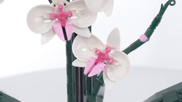 LEGO Orchid plant set 10311 review! Great parts & techniques, near-perfect execution смотреть онлайн
