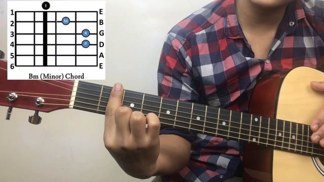 Guitar Lessons for Lefties (Bm - Cm Chords) - Lesson 5 смотреть онлайн