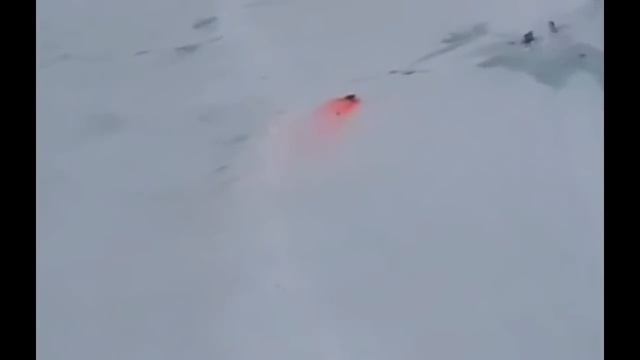 Вниманию ЦРУ США ! Срочно заберите свою АПЛ SSN-21 Seawolf, брошенную на Северном полюсе смотреть онлайн