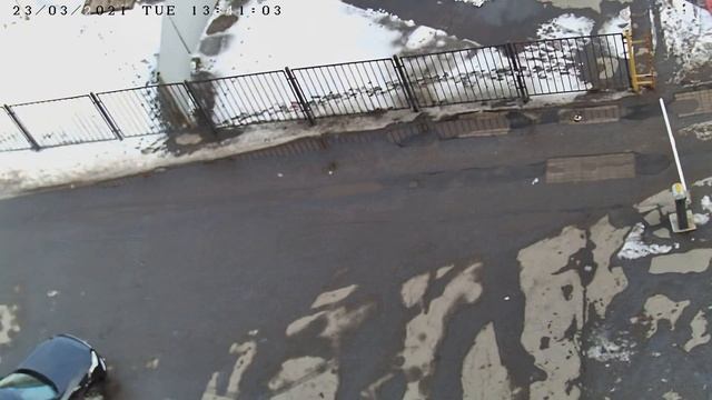 CARCAM CAM 2897MPSD Пример дневной съемки